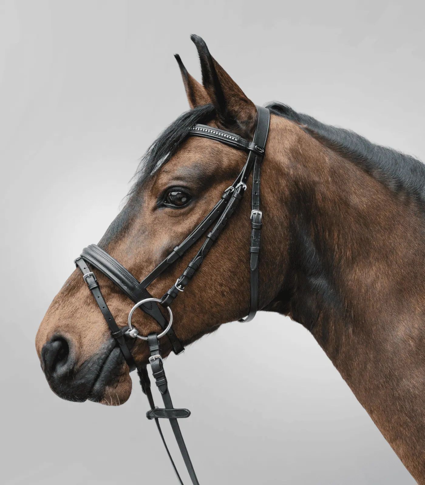Bridon STAR Diamond, combiné anglais avec muserolle et chaînette, Noir, Pony