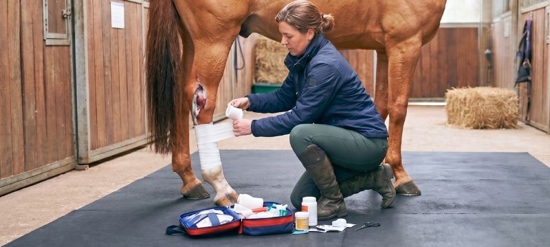 Farmacia grajdului & Recuperare