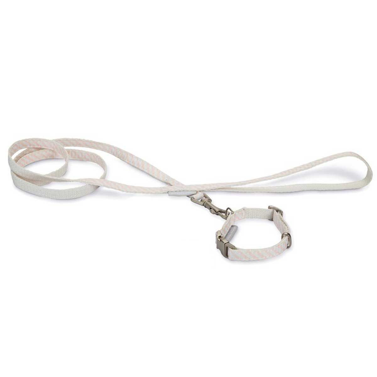 Beeztees Puppy Collar & Leash Set for Dogs, Adjustable with Quick Buckle, rina