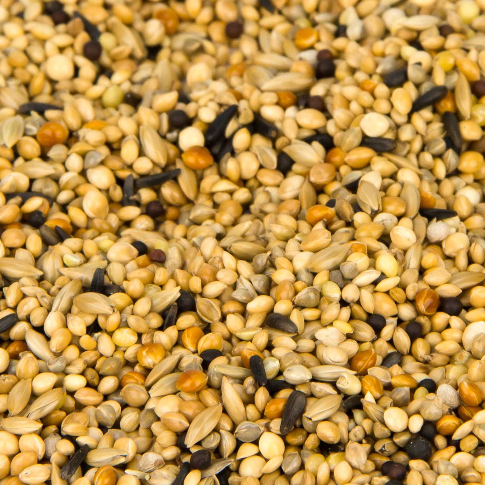 Leimüller Exotic Bird Food Special