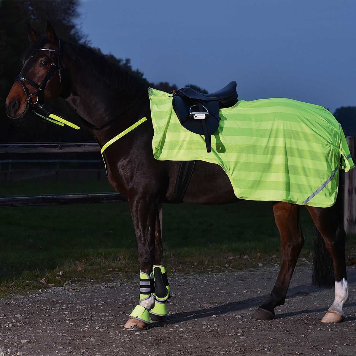 Couverture cheval fluorescente BUSSE REFLECTION
