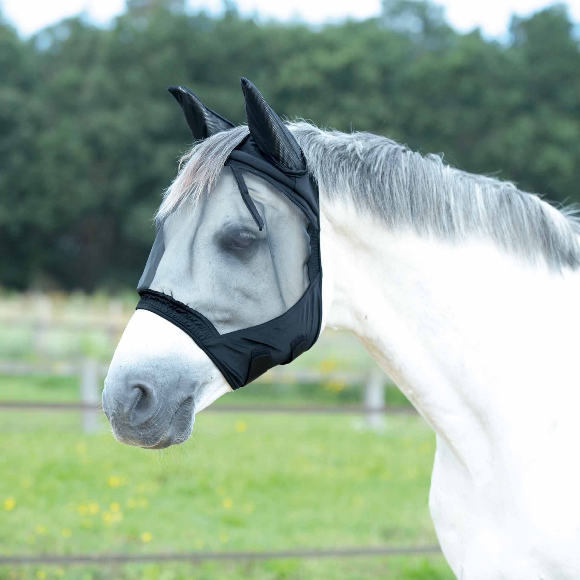 Masque anti-mouches BUSSE FLY BUCKLER GAP II, yeux et oreilles, Shetty noir