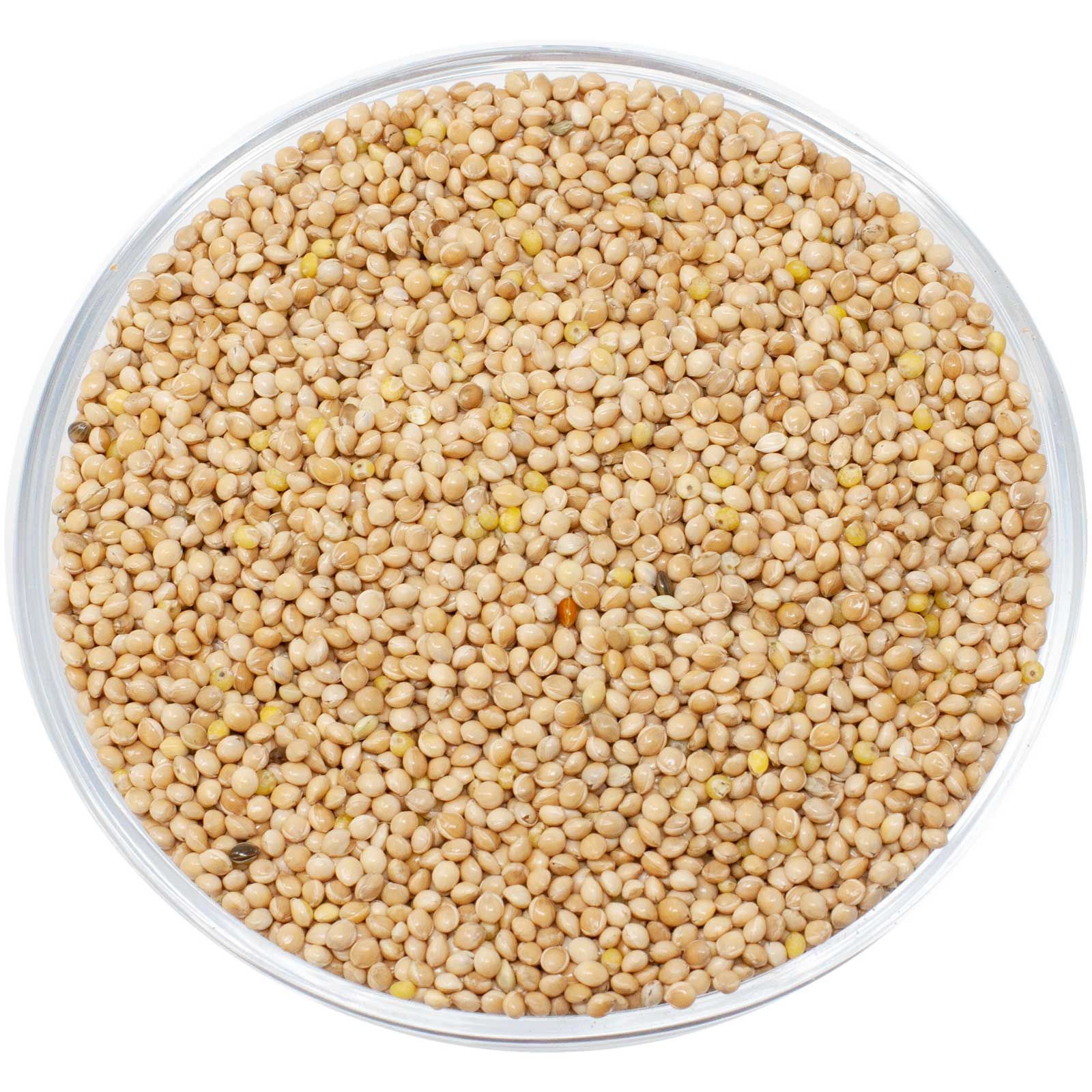 Leimüller Miglio giallo 5 Kg