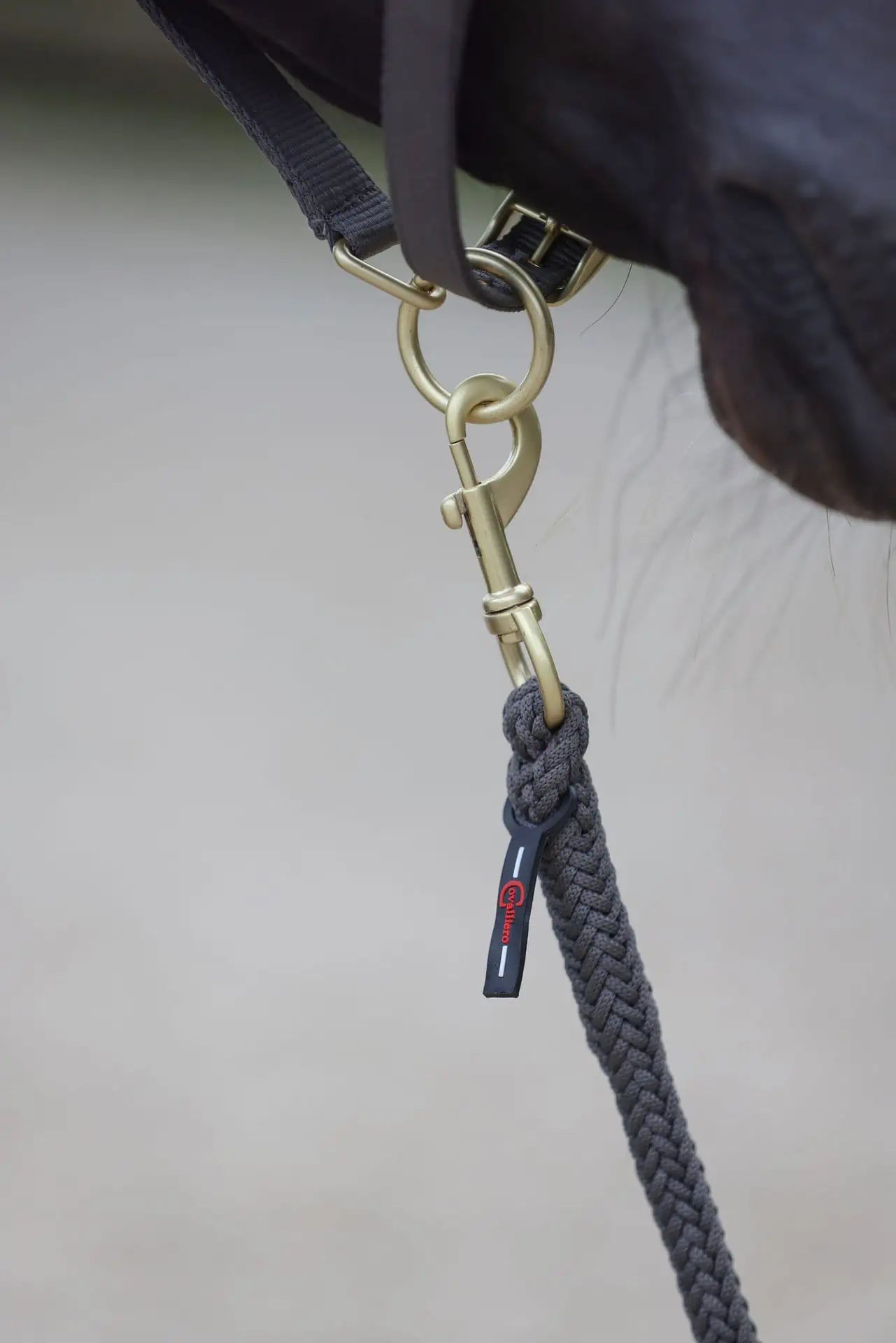 Longe Classy Covalliero, longe robuste pour cheval, stone, mousqueton