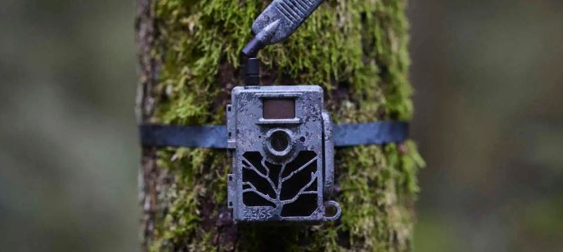Wildlife Camera