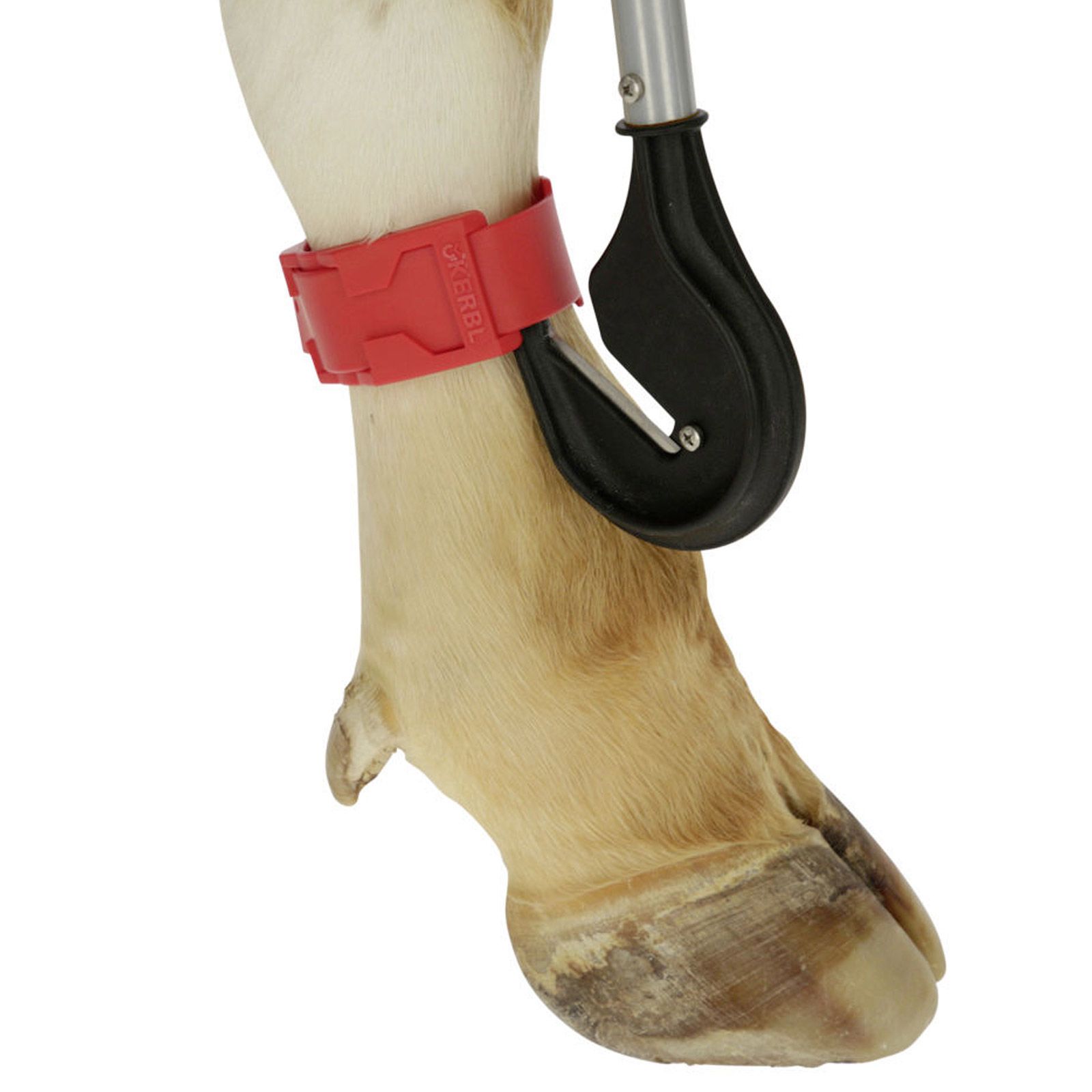 Kerbl Couteau à bandage 80 cm, lame interchangeable, en utilisation, jambe