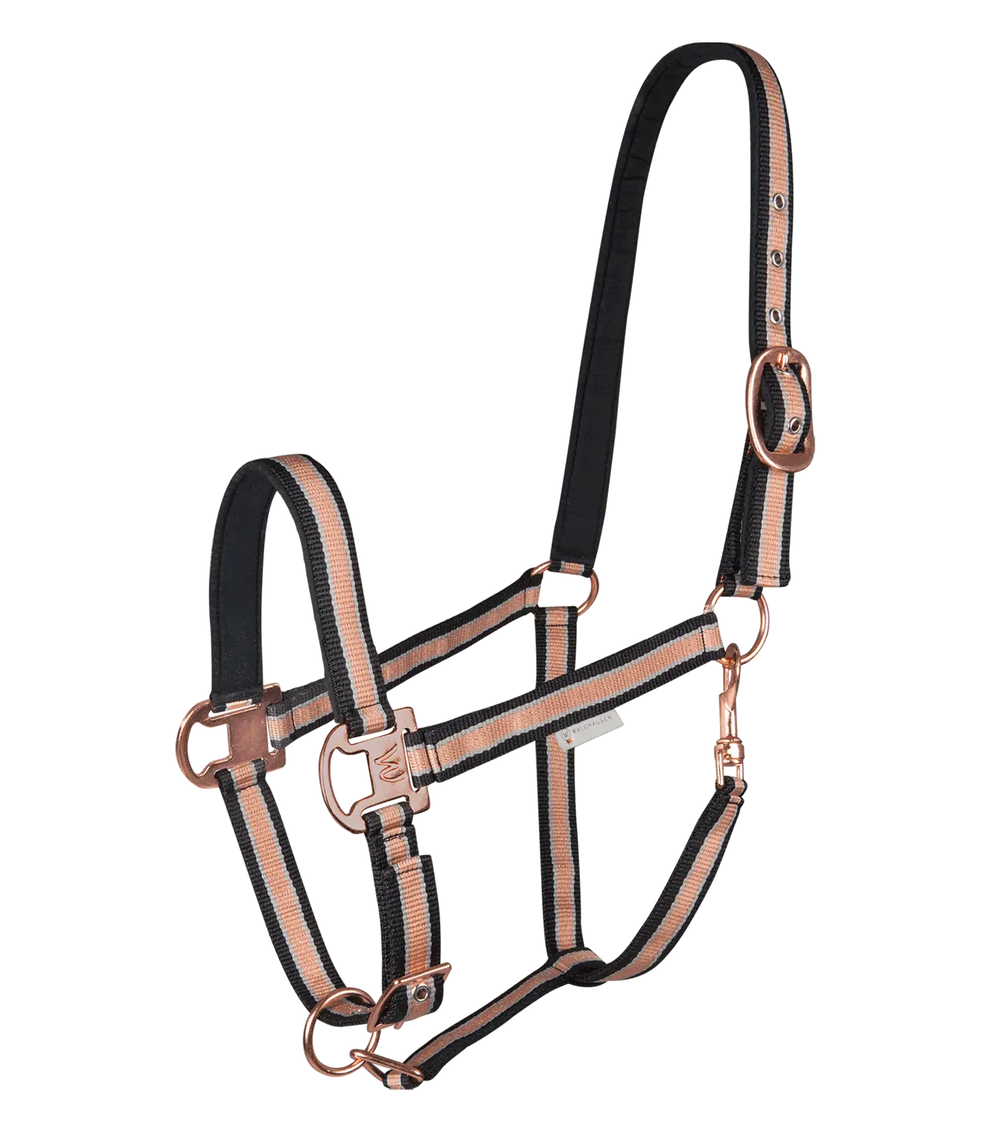 Capezza Waldhausen Shine, imbottita, fibbie oro rosa