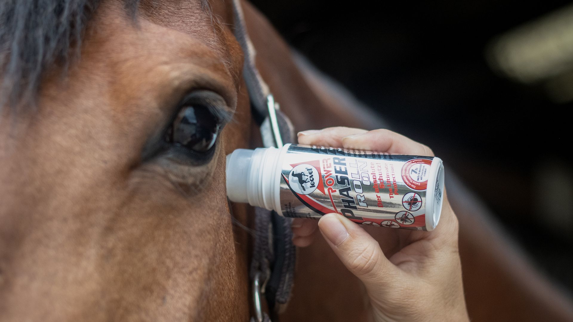 Leovet Power Phaser Roll On Repellente Insetti per Cavalli, 75 ml, in uso