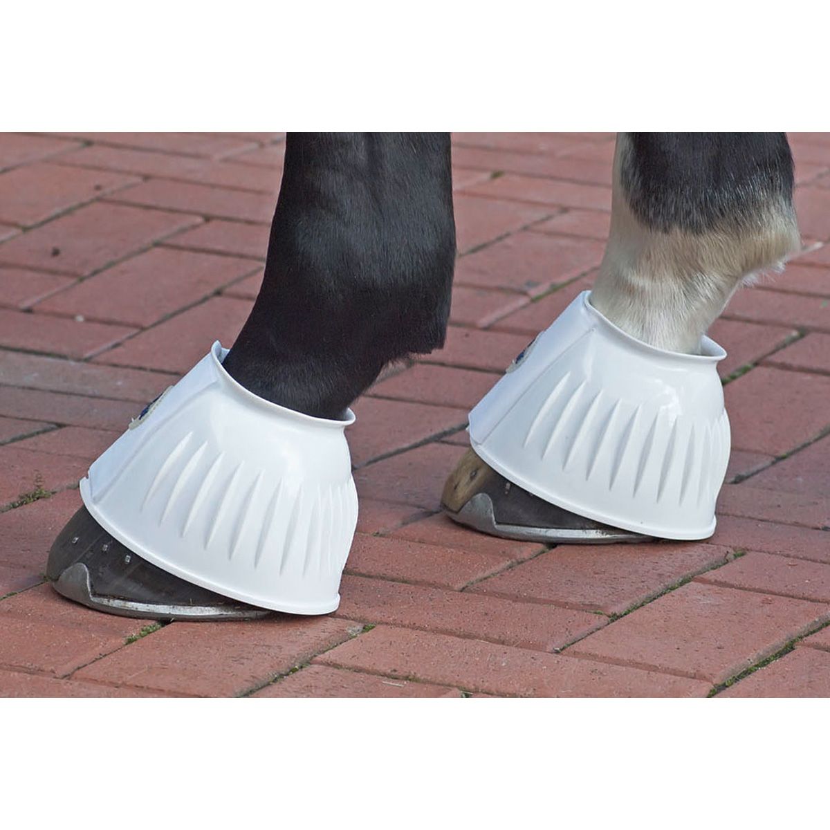 BUSSE Cloches à sabots STURDY, protection en PVC pour chevaux, blanc XL