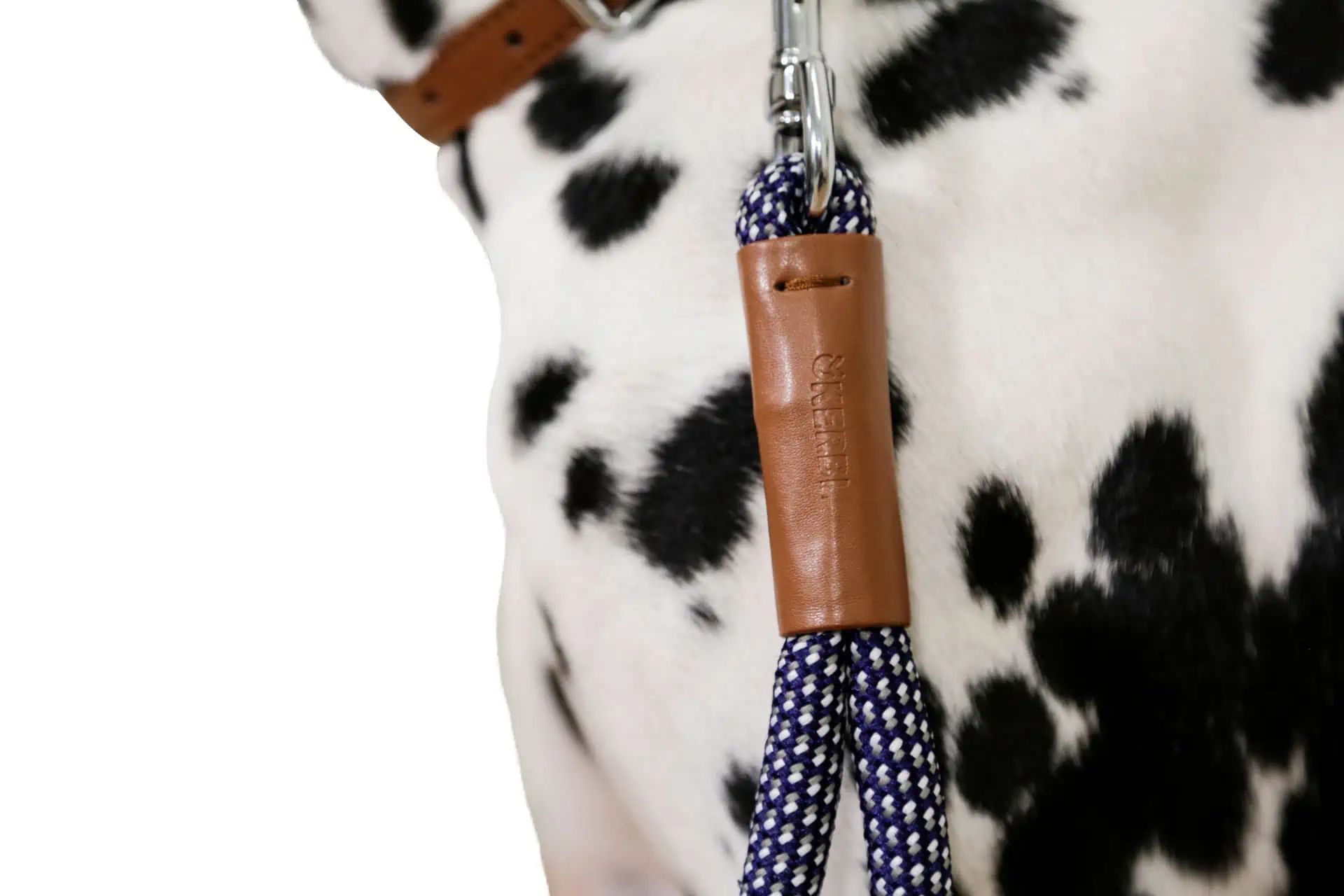Kerbl Short Leash Phoenix Dog Lead Blue, 14 mm x 35 cm, detail view, closure
