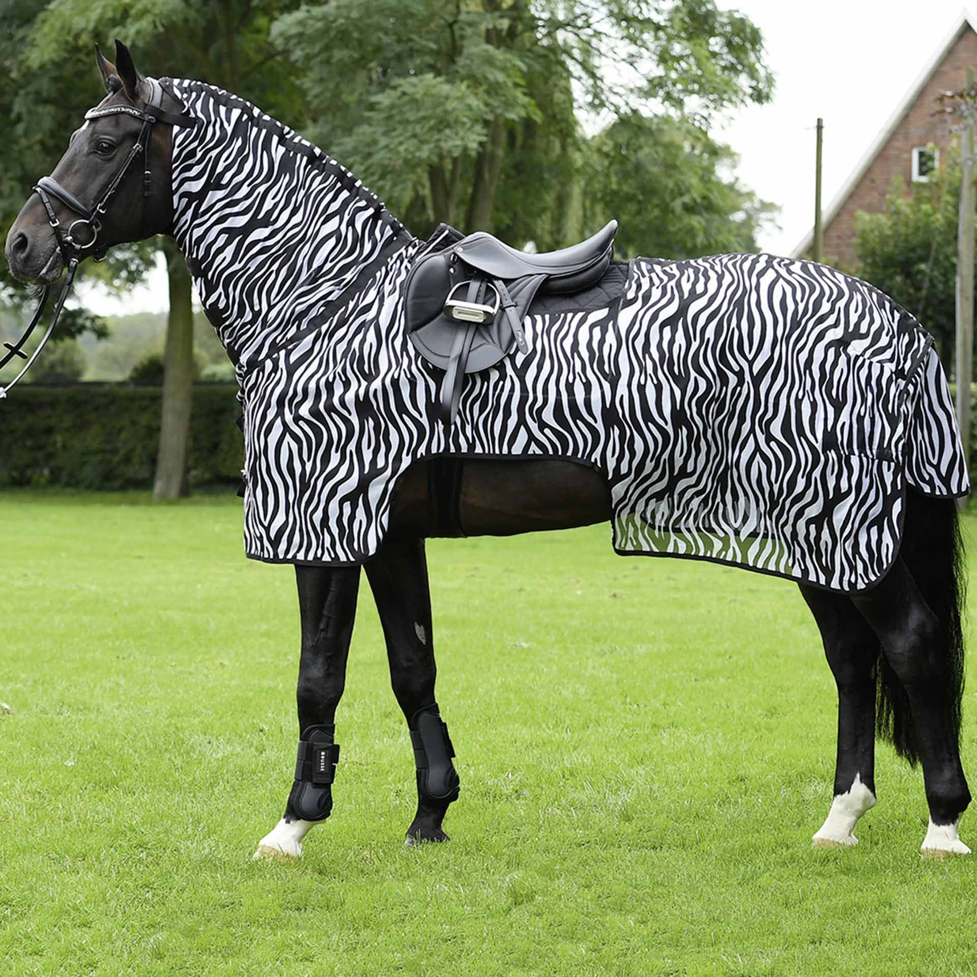 BUSSE Ausreitdecke MOSKITO ZEBRA III, Fliegendecke mit Anti-Bremsenschutz, im Einsatz