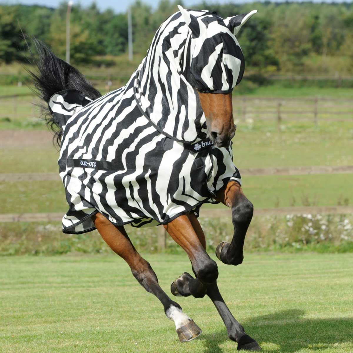 Couverture anti mouches cheval Bucas Buzz-Off Zebra Full-Neck 140