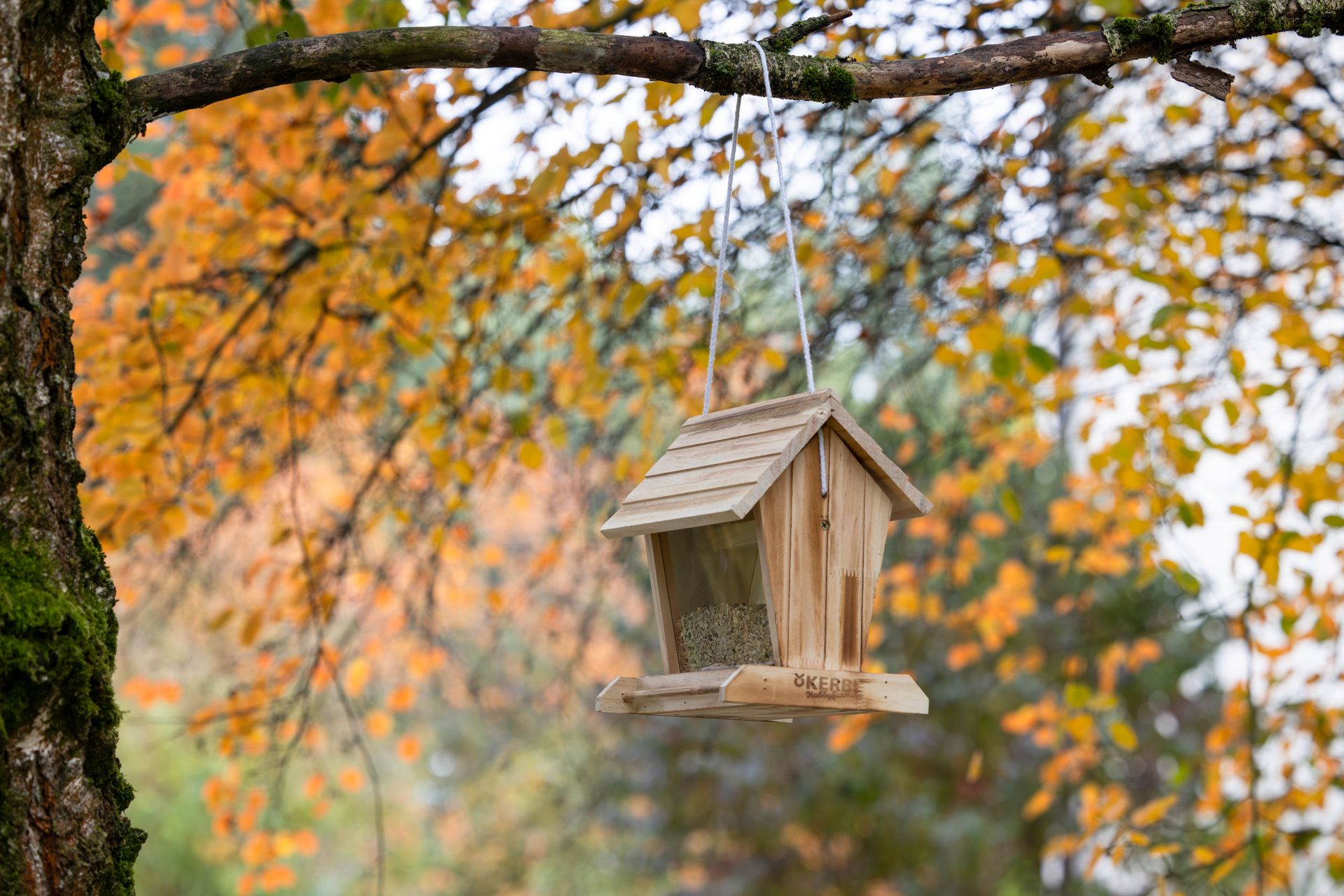Mangeoire à oiseaux en bois Kerbl Schneeberg, 2,5 L, en utilisation