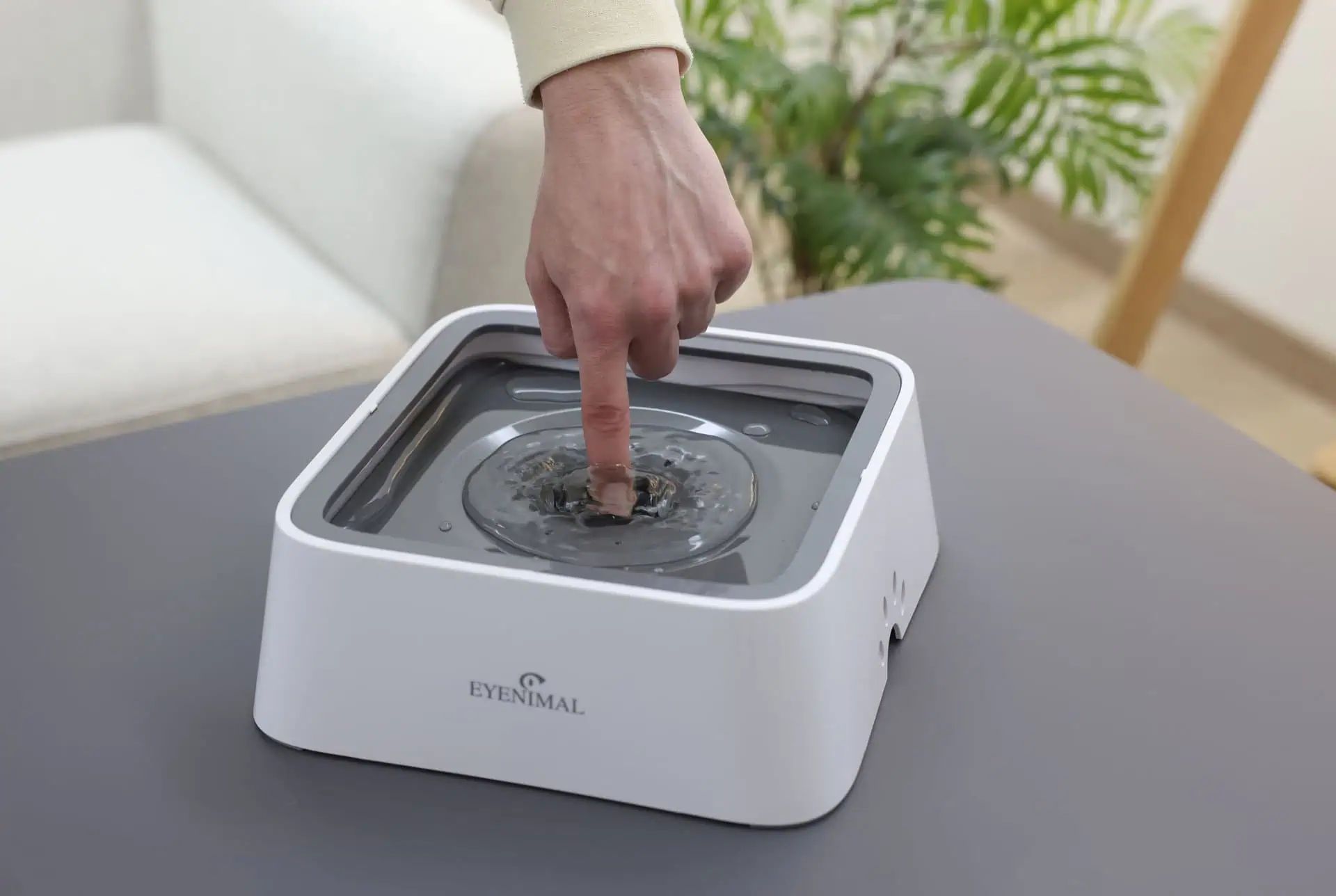 Eyenimal Bol anti-scurgere pentru apă Hydra200, 2 litri, în utilizare, în mână