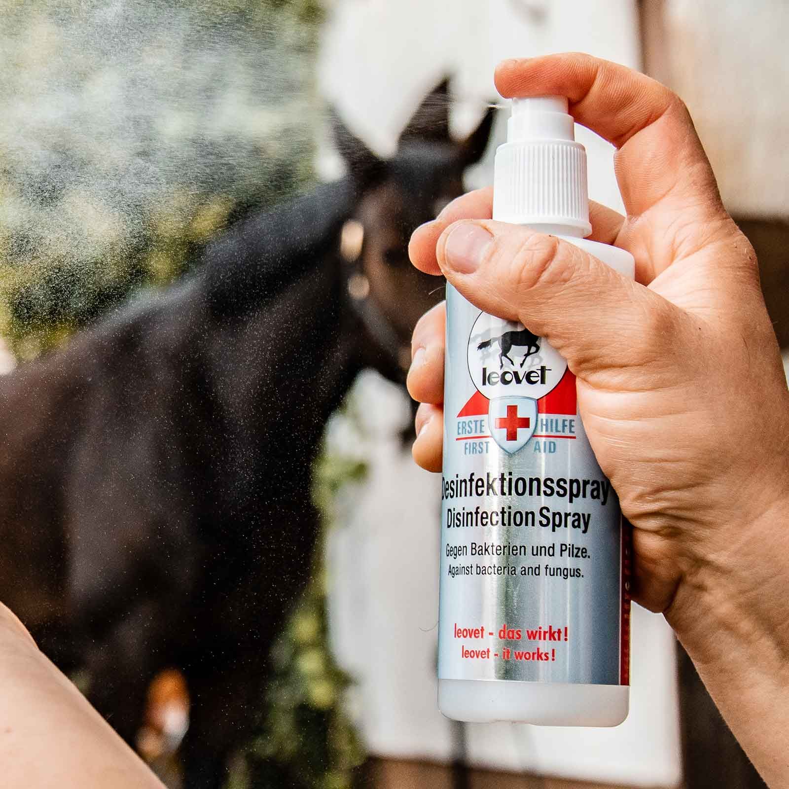 Leovet Disinfection Spray with Chlorocresol, 200 ml, in use