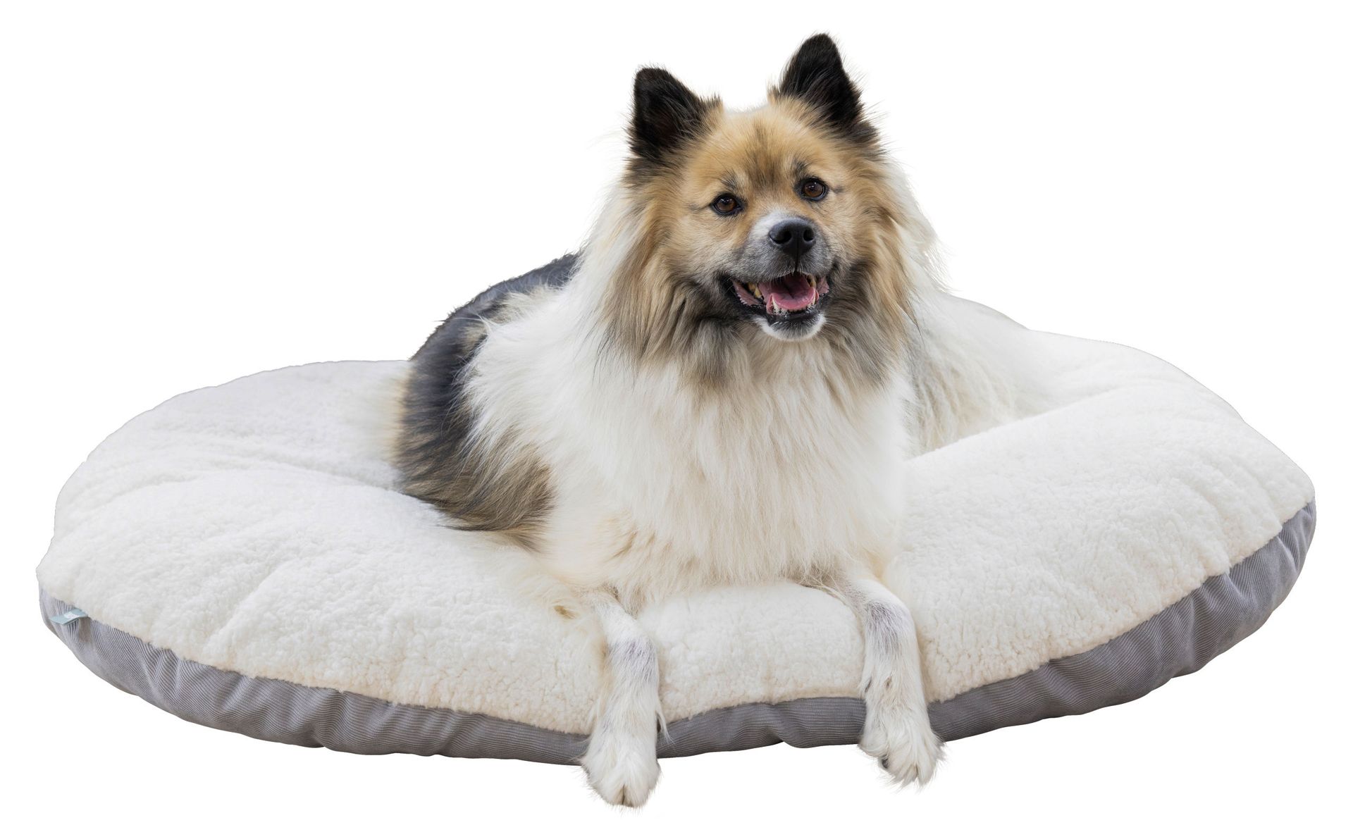 Kerbl Zoe coussin réversible chien et chat, peluche & velours côtelé, en utilisation