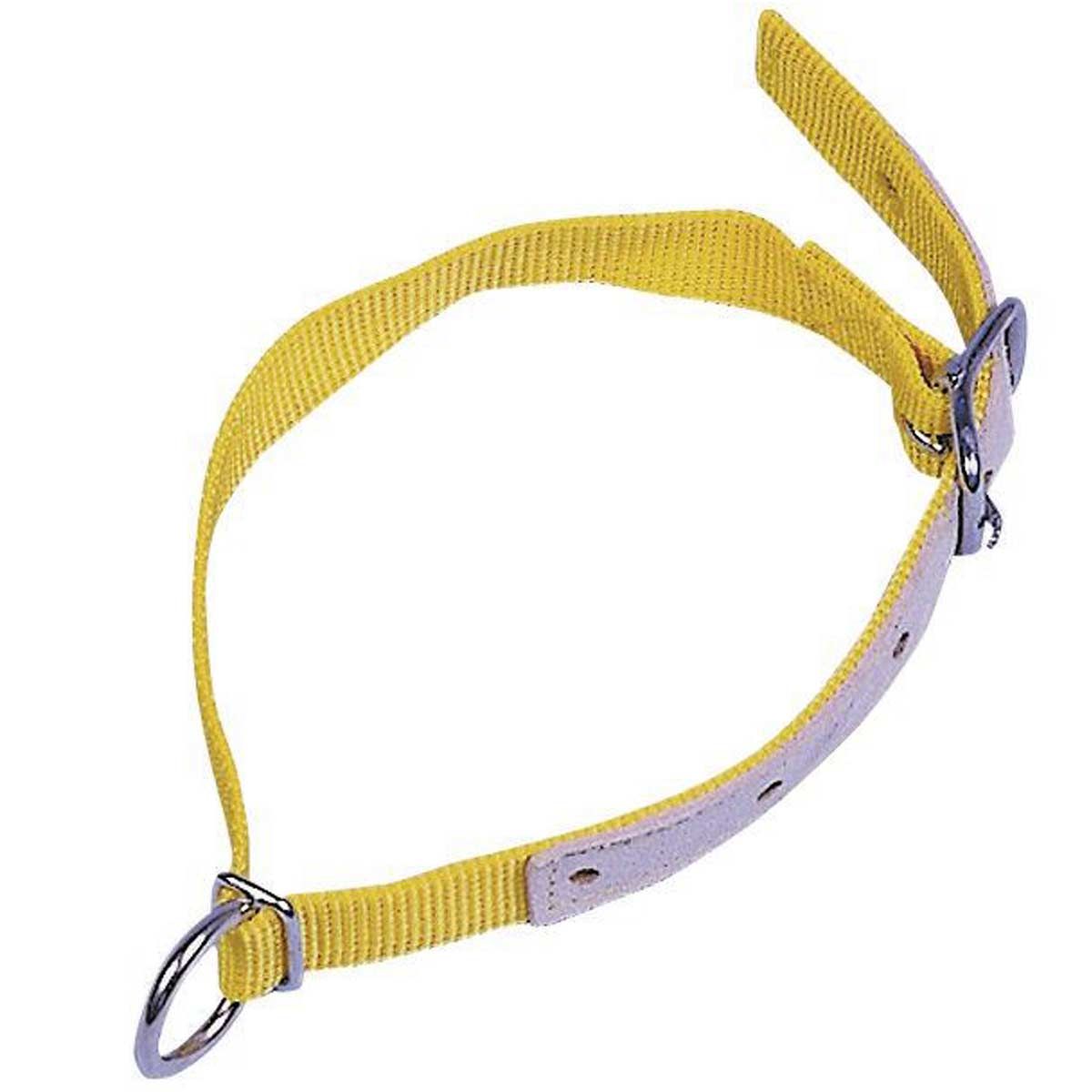 Kerbl Collare per pecore nylon 60 cm rinforzato pelle