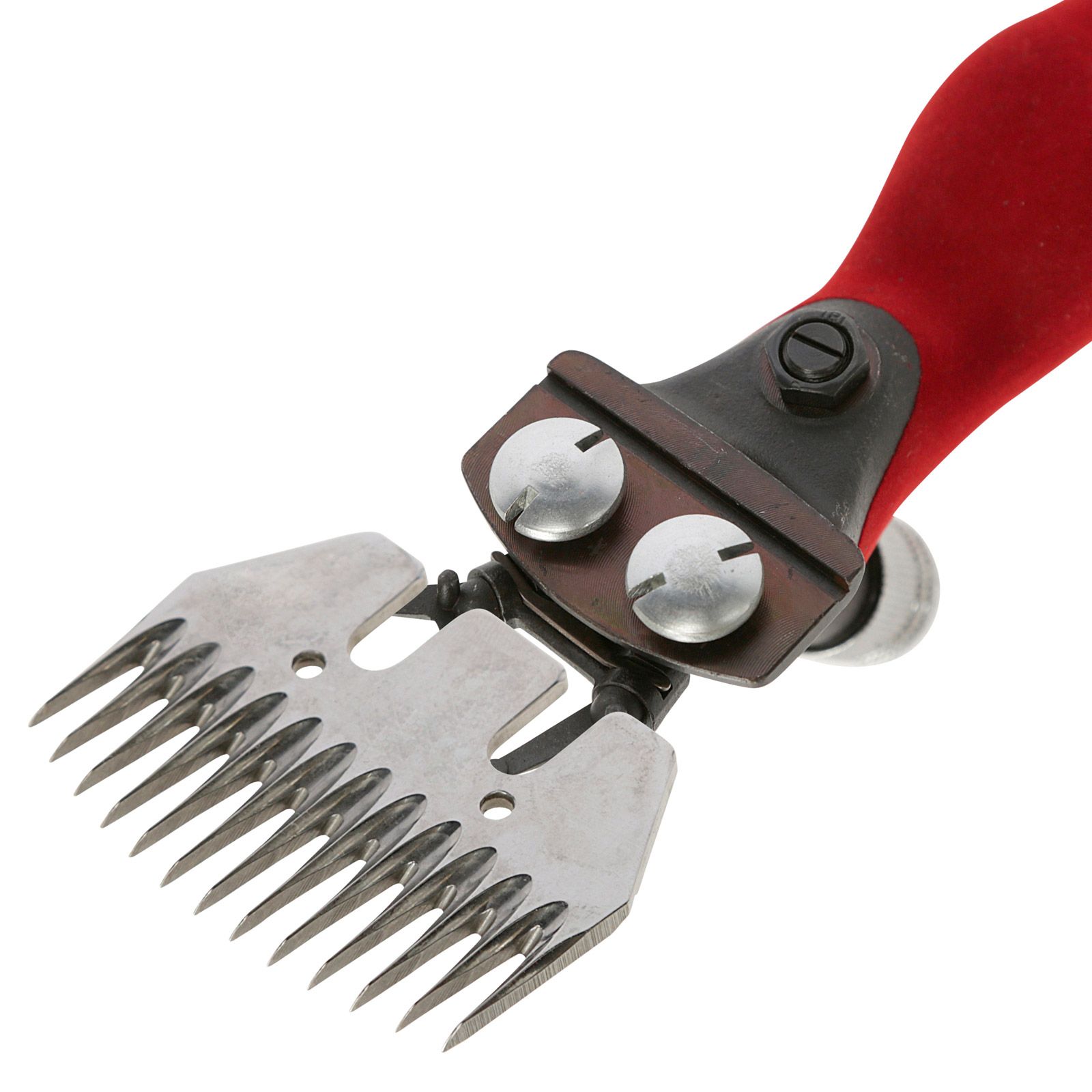 Wellington Klippmaskin för Fårklippning Worm-Drive med Handstycke, detaljbild, tänder