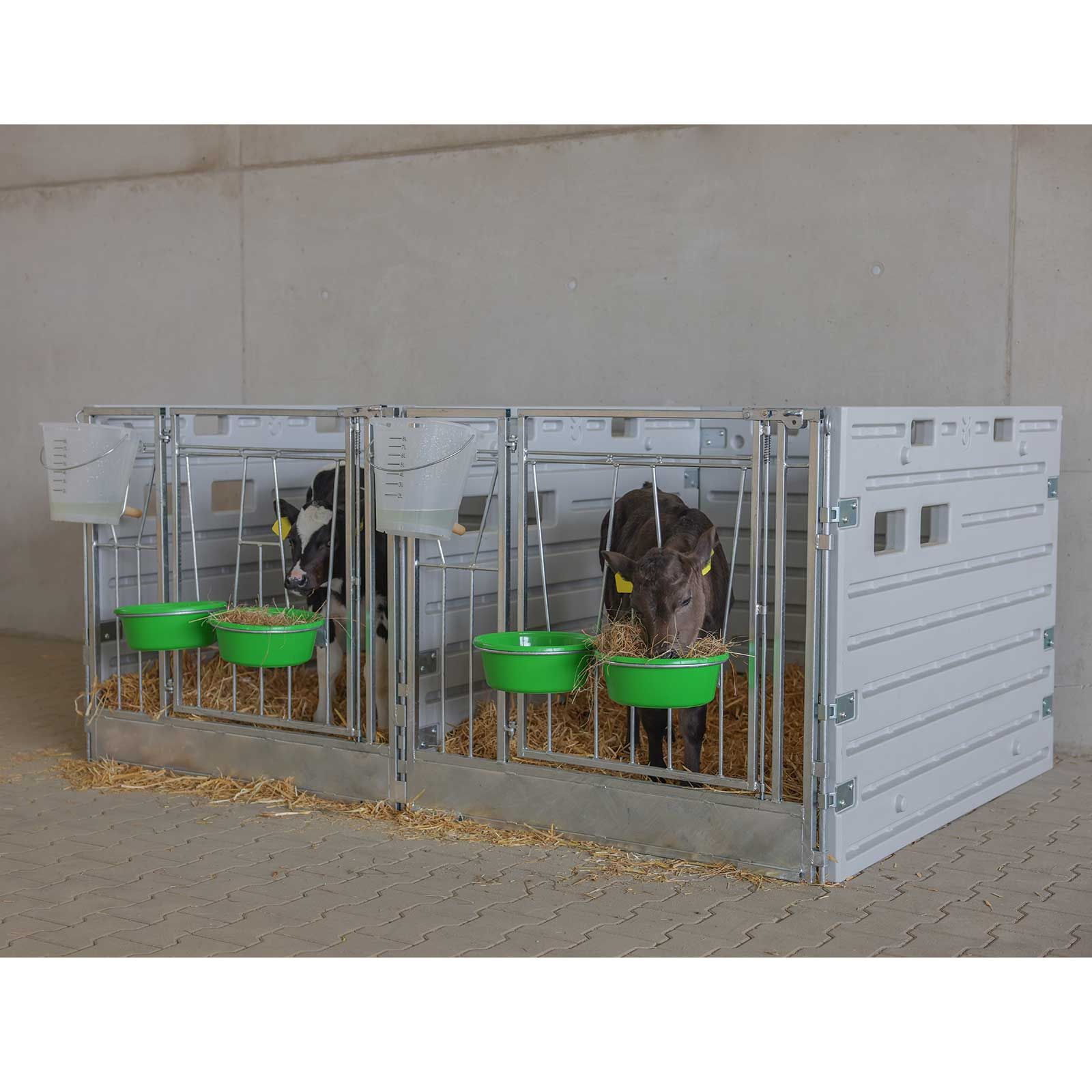 Kerbl Modulare Kälberbox Doppelbucht freistehend, 1,8 qm, im Einsatz