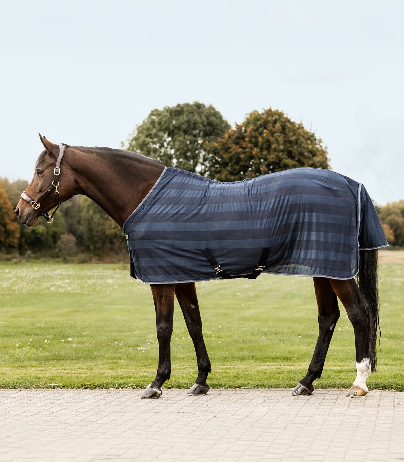 Waldhausen fly rug Economic cross surcingles, midnight blue, 85 cm