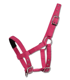 Pinkes Halfter aus Gurtband mit verstellbaren Schnallen und Ring am Nasenriemen