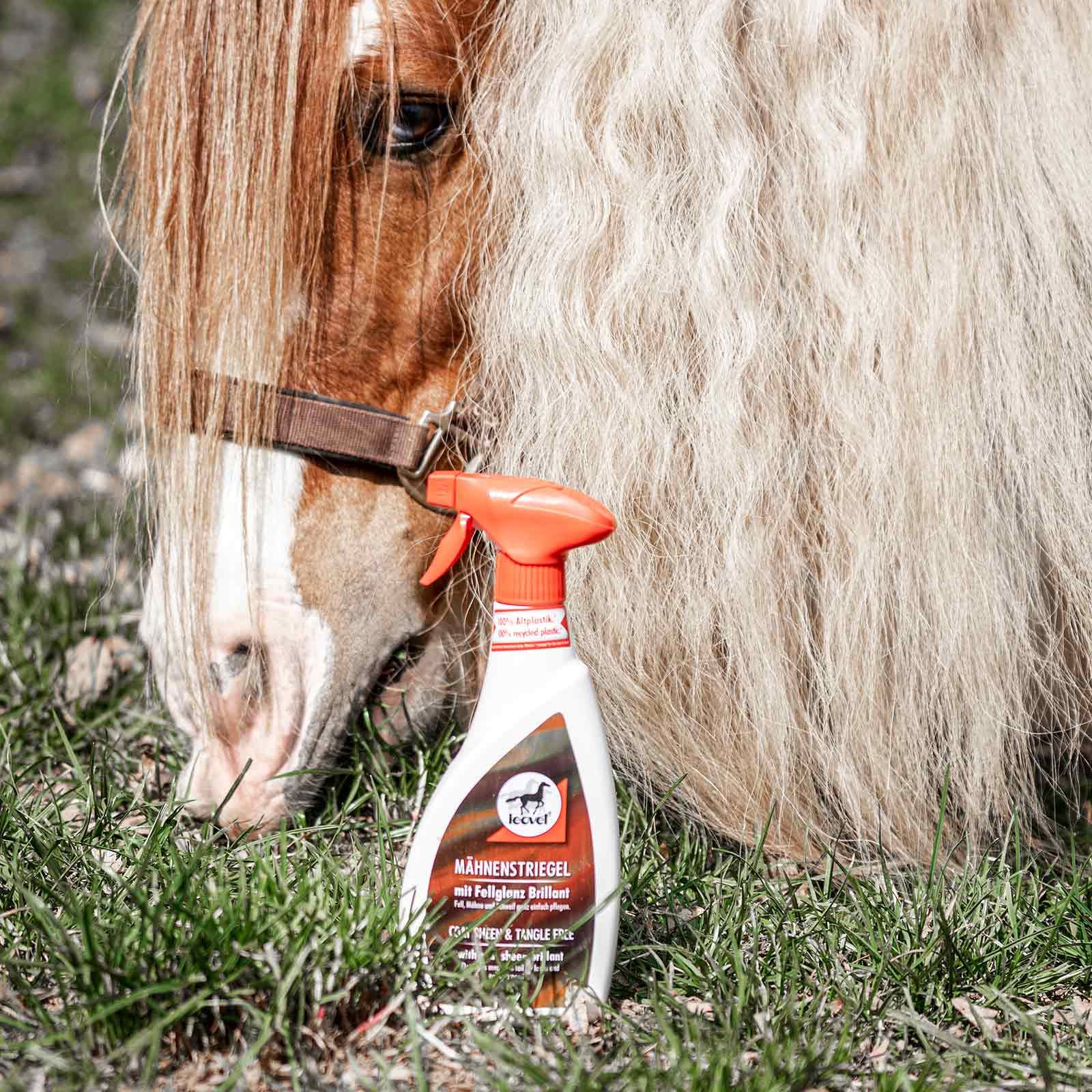 Leovet Districante lucidante per criniera con olio di cedro, 550 ml, in uso