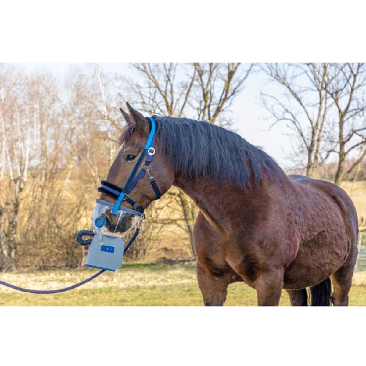 Hippomed Ultraljudsinhalator Häst AirOne Flex, Batteri, Utan Mask, i användning