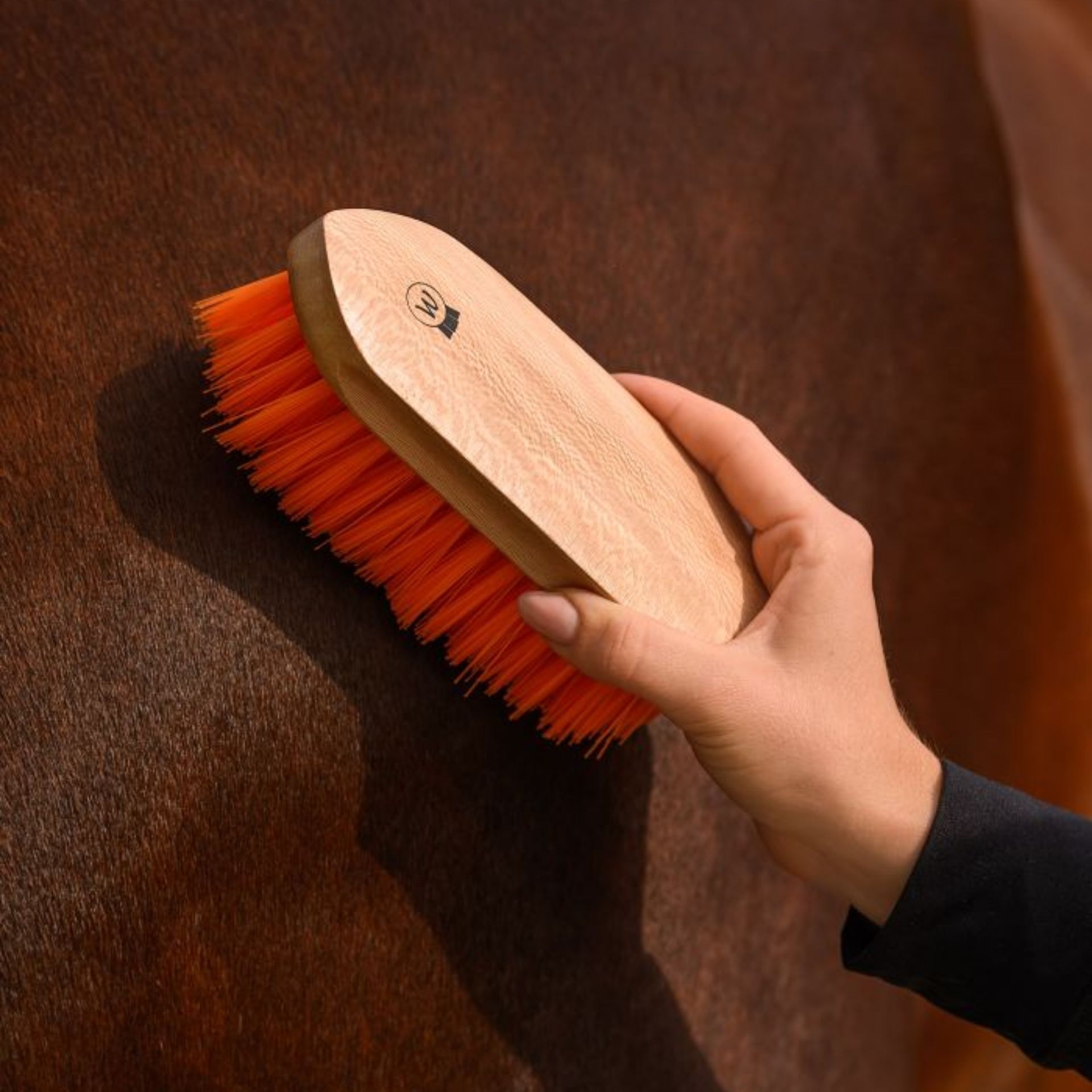 Waldhausen Brosse à crins Colorcare, orange, Crinière & Queue, en utilisation, dans la main