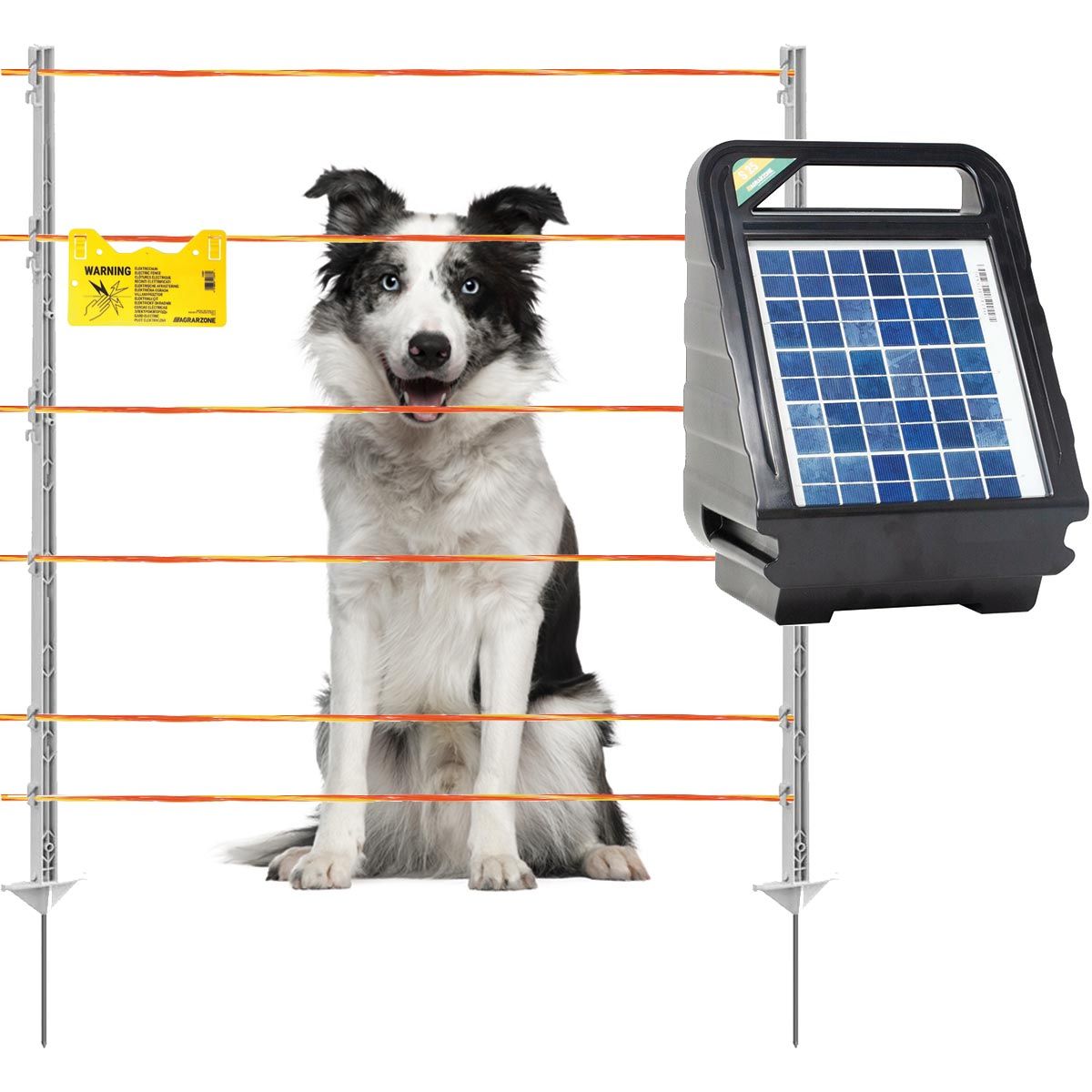 Kit clôture pour chien Agrarzone S25 SOLAIRE 12V, 0,4J, brin 500m, orange-jaune