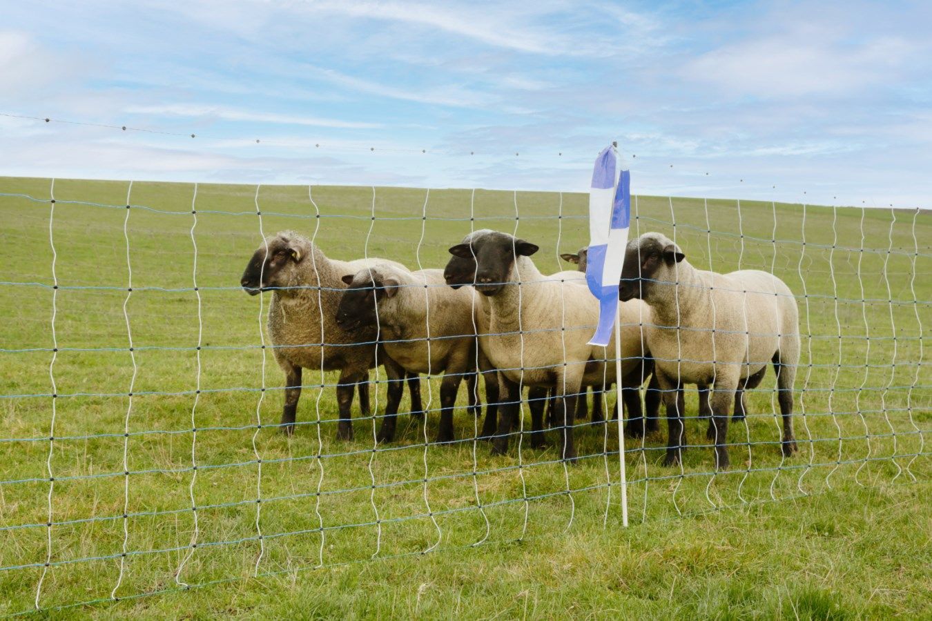 Ako Wolf Fence Wolf Defense Net OviNet Maxi 50 m x 122 cm