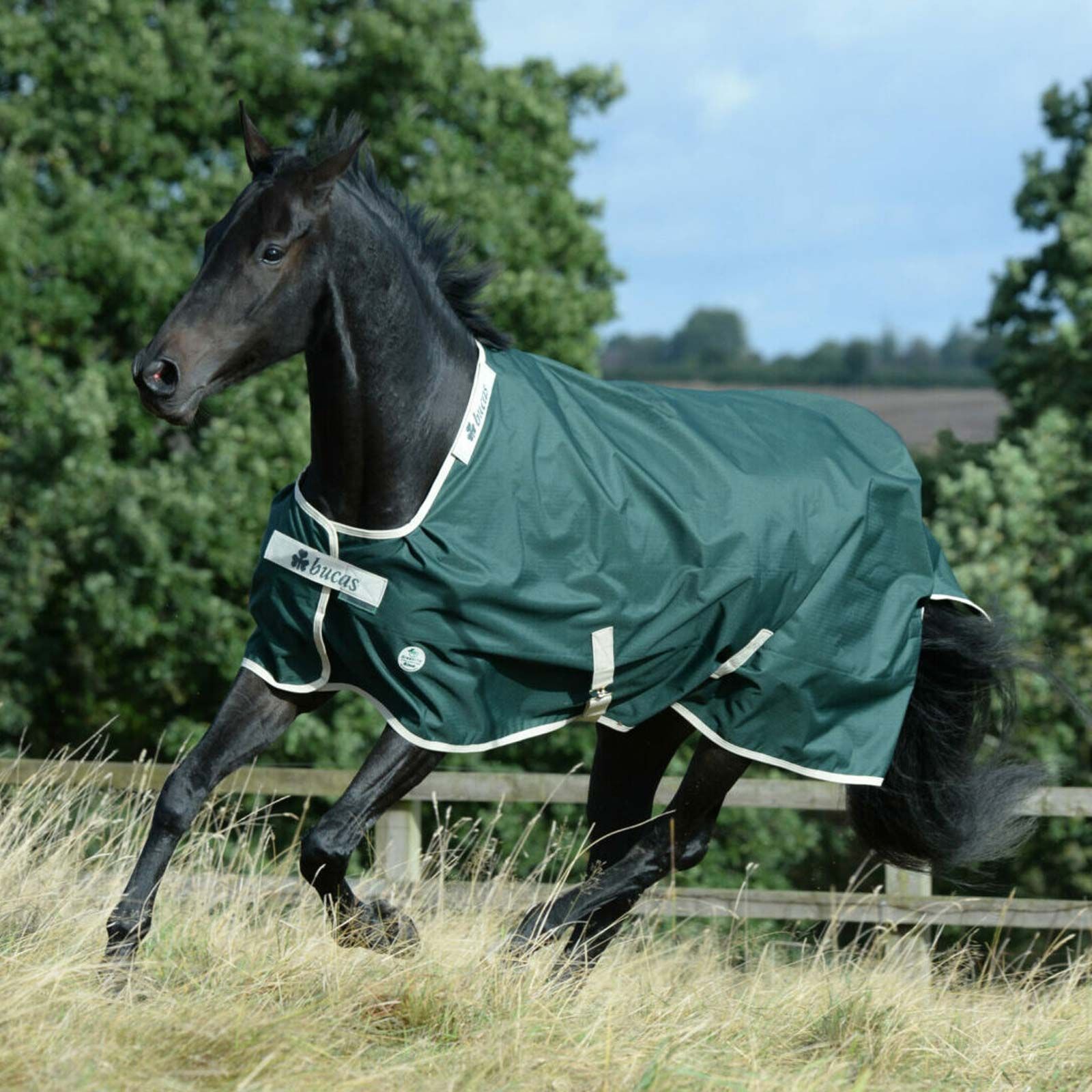 Couverture cheval Bucas Greenline Turnout 100g 130