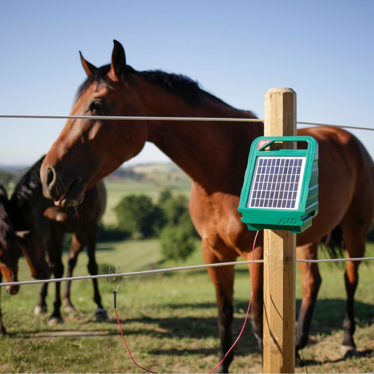 AKO Sun Power S 250 napelemes villanypásztor készülék, 3 Watt, 0,40 Joule, használat közben, napelem