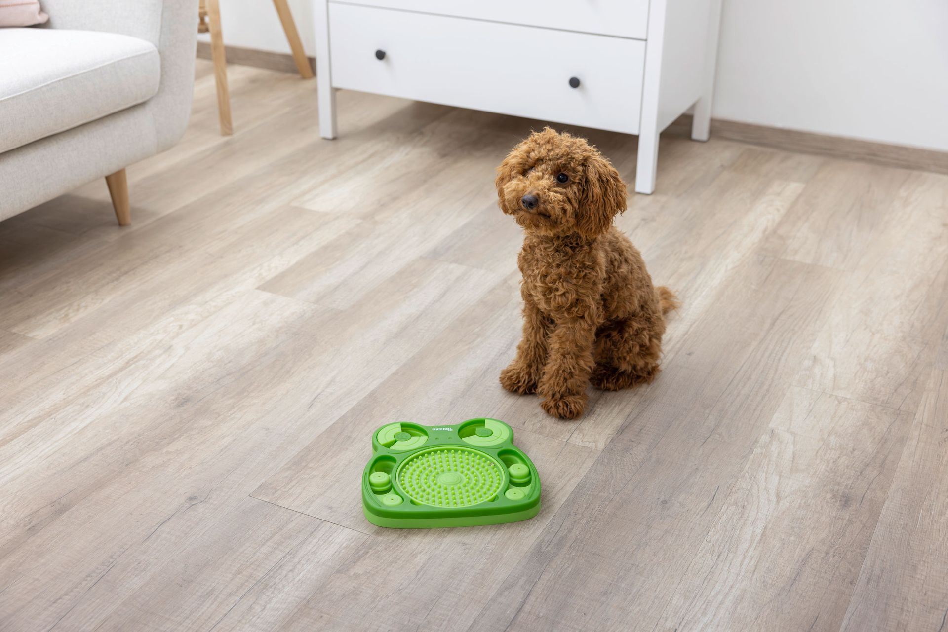 Kerbl Pet okosjáték kutyáknak Béka nyalótányérral, 24,5 cm, használat közben