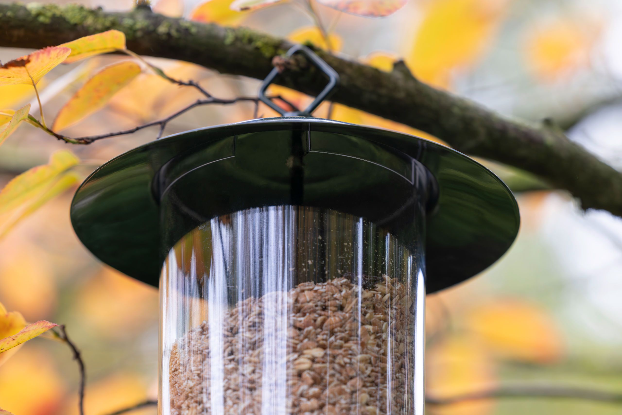 Vogelfutterspender, Sonnenblumenkern, Zylinder-Futterspender, im Freien, Dekoration
