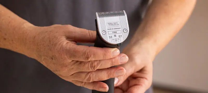 Tête de coupe de tondeuse pour chien