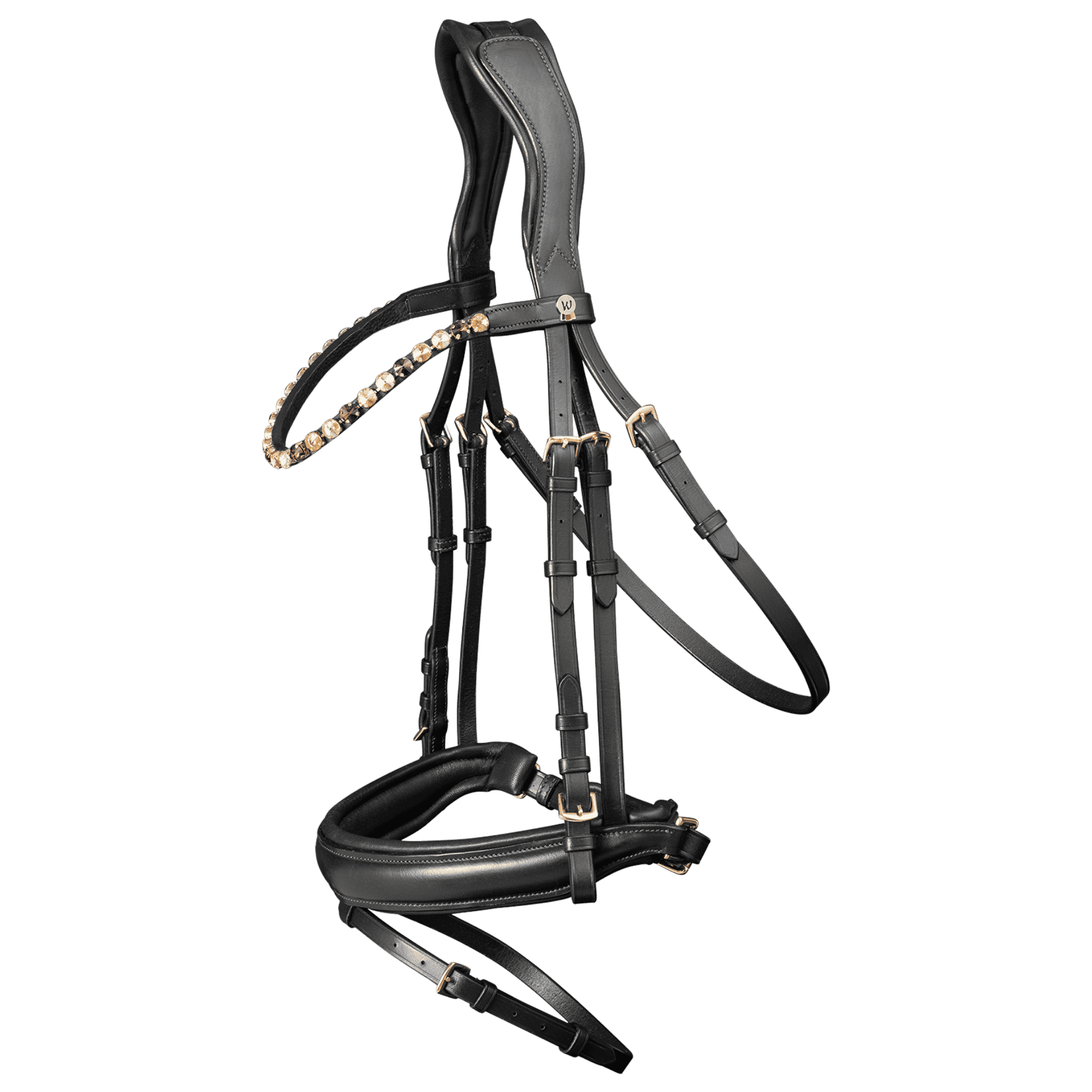horse tack, bridle, headstall, buckles, studded strap, horse, halter, bridle, black, extra decoration