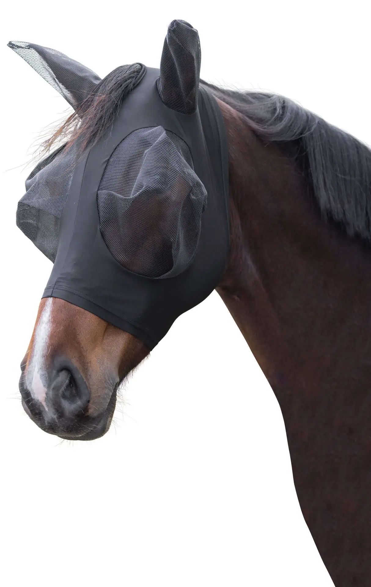 Maschera antimosche Covalliero FinoStretch con protezione UV, nera/blu, in uso