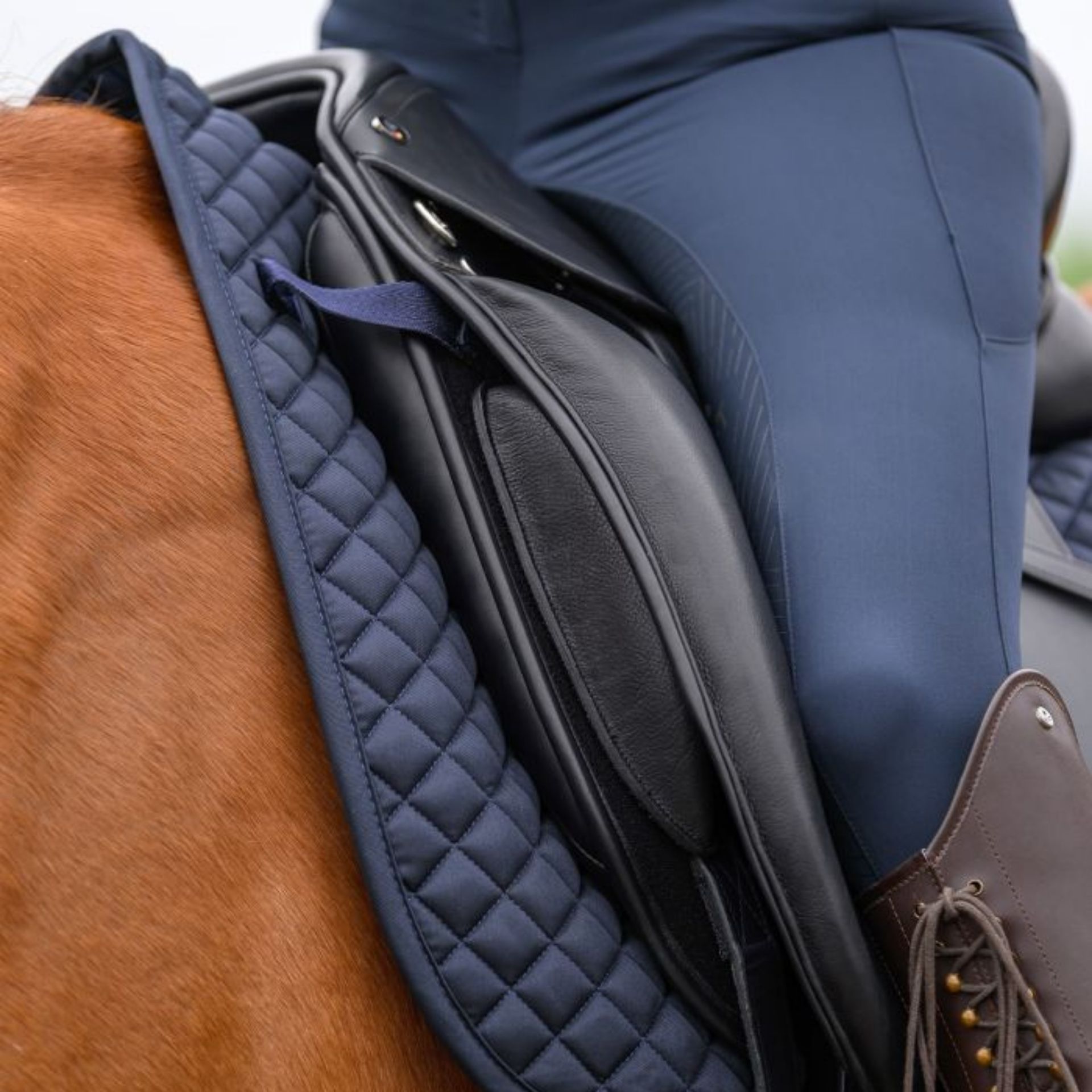 saddle, horse, stirrup, saddle pad, equestrian