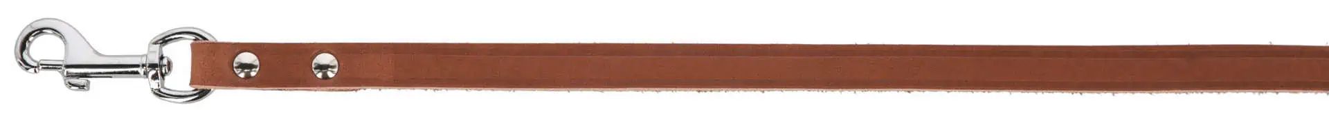 Kerbl Pet MEXICA Leather Dog Leash, riveted, solid-coloured leather, detail view, closure