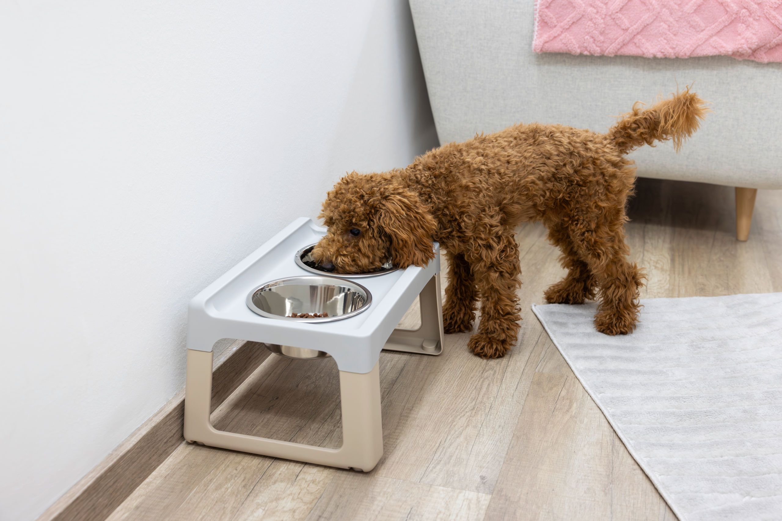 Kerbl Pet Lifter Hundenapf erhöht, 2 Edelstahlnäpfe, grau-taupe