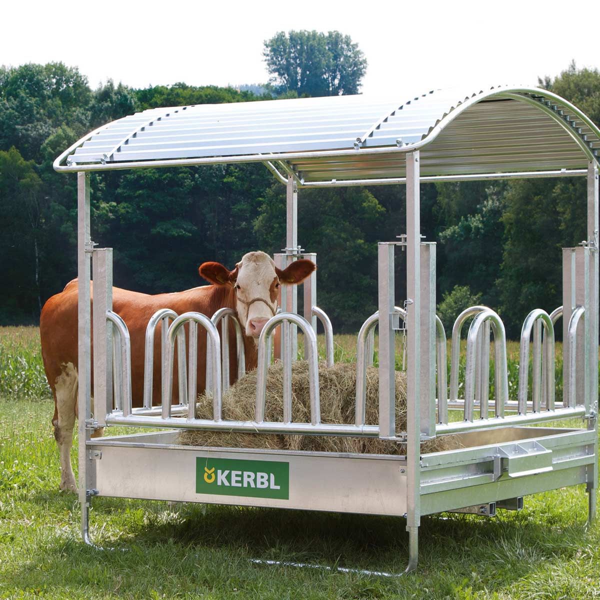Kerbl Râtelier carré avec cornadis de palissade, 2 x 2 m, en utilisation, au pré