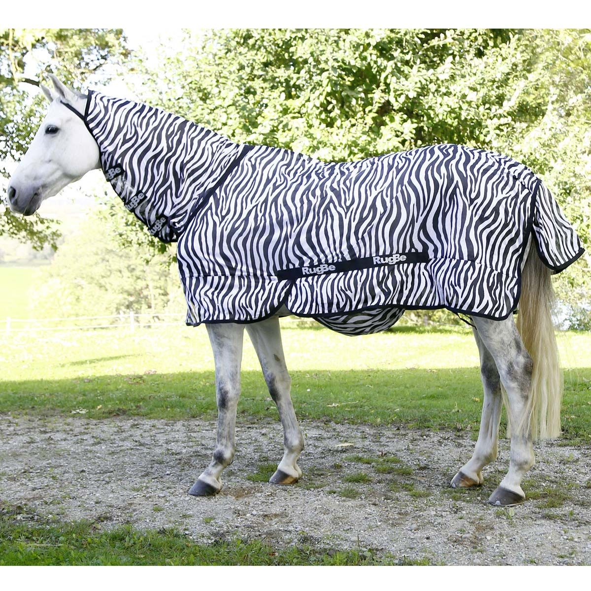 Covalliero Fliegendecke Zebra mit Halsteil RugBe Ekzemerdecke, im Einsatz
