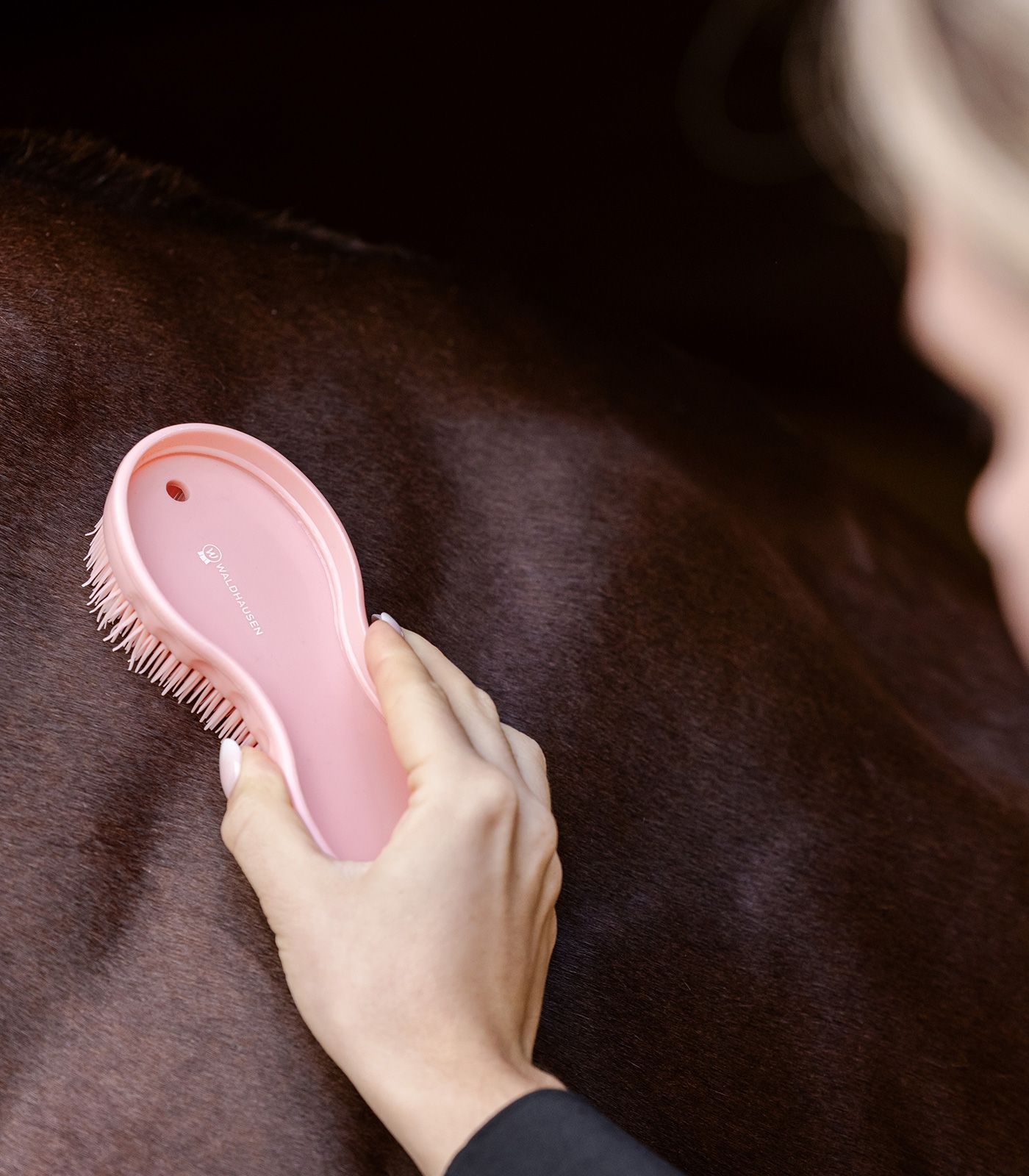 Waldhausen Brosse Tout-en-Un Cheval & Chien, Lot de 2 avec Couteau de Chaleur, en utilisation, dans la main