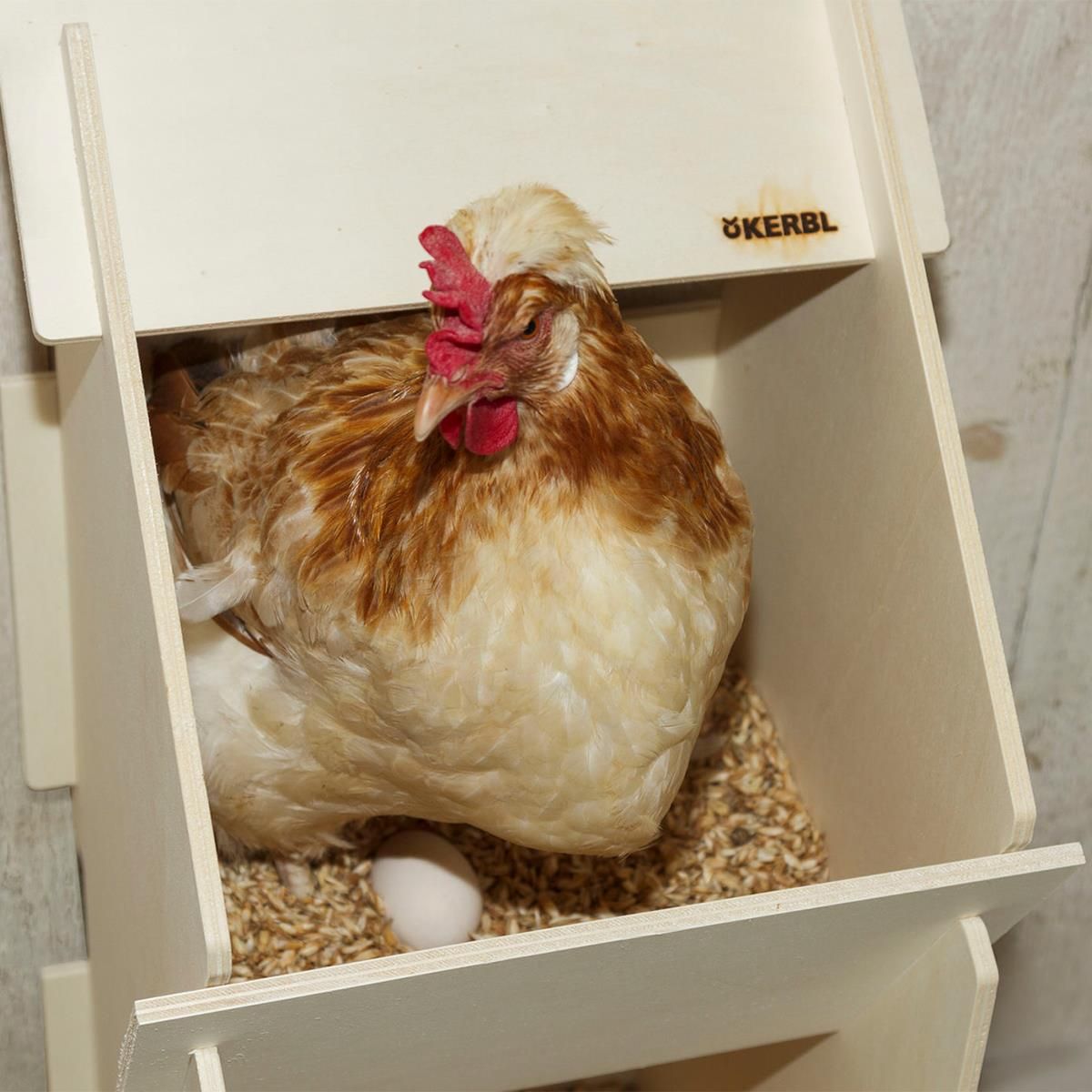 Pondoir en bois Kerbl avec 2 compartiments de nidification, en utilisation