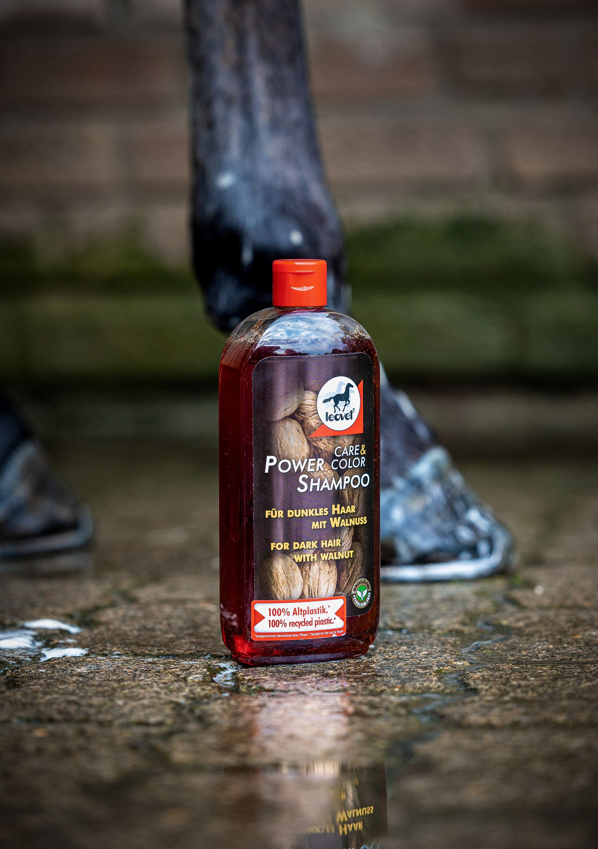 Leovet Power Pferde-Shampoo Walnuss für dunkle Pferde, 500 ml, im Einsatz, Bein