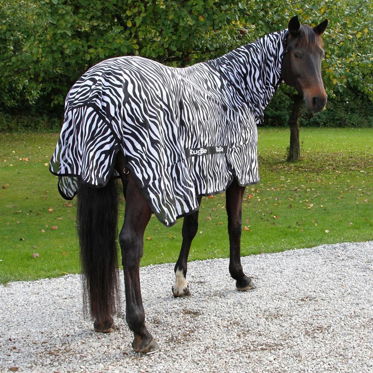 Fliegendecke Ekzemerdecke RugBe Zebra Covalliero online kaufen