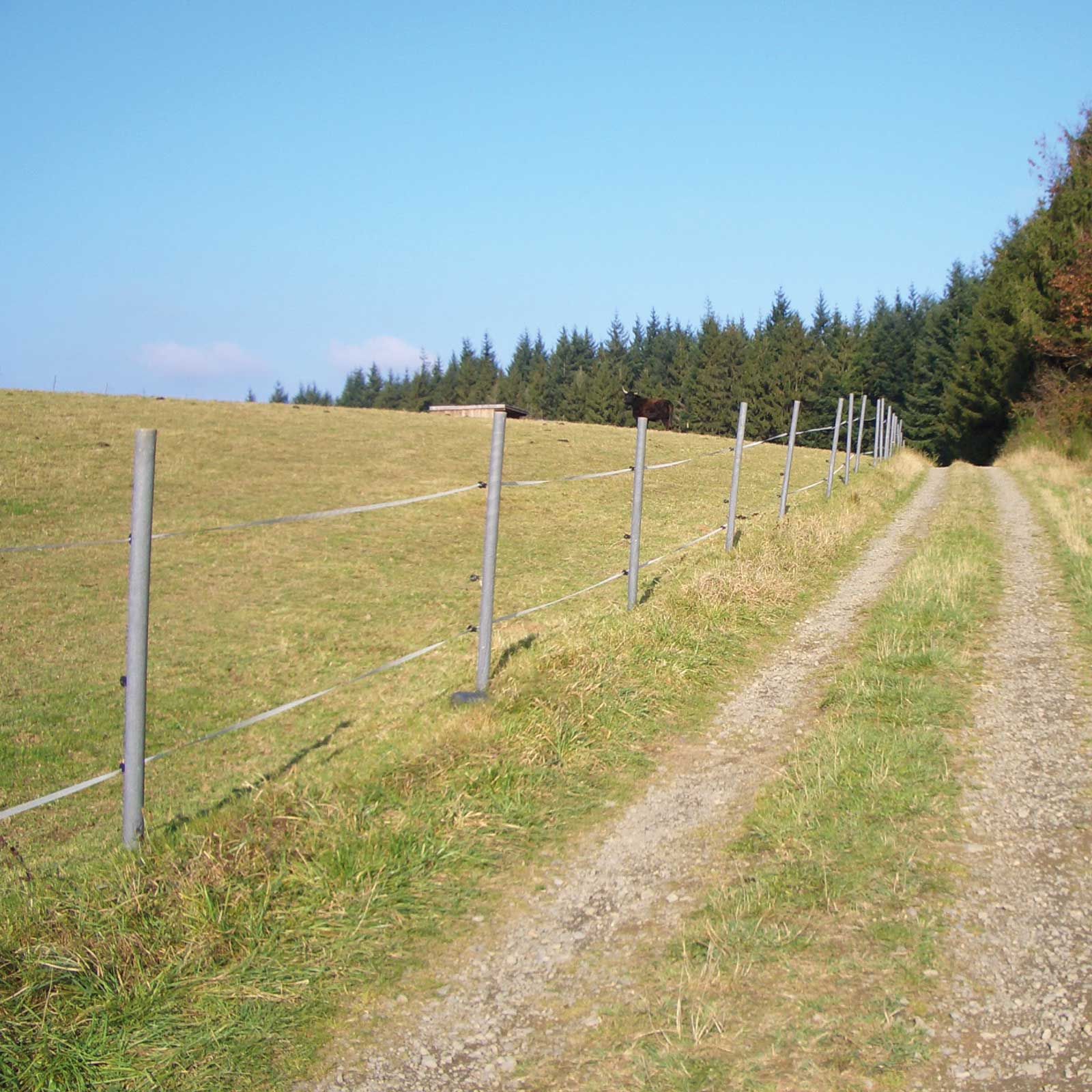 Agrarzone Recyclingpfosten mit Spitze, rund, Rundprofil, 10 Jahre Garantie