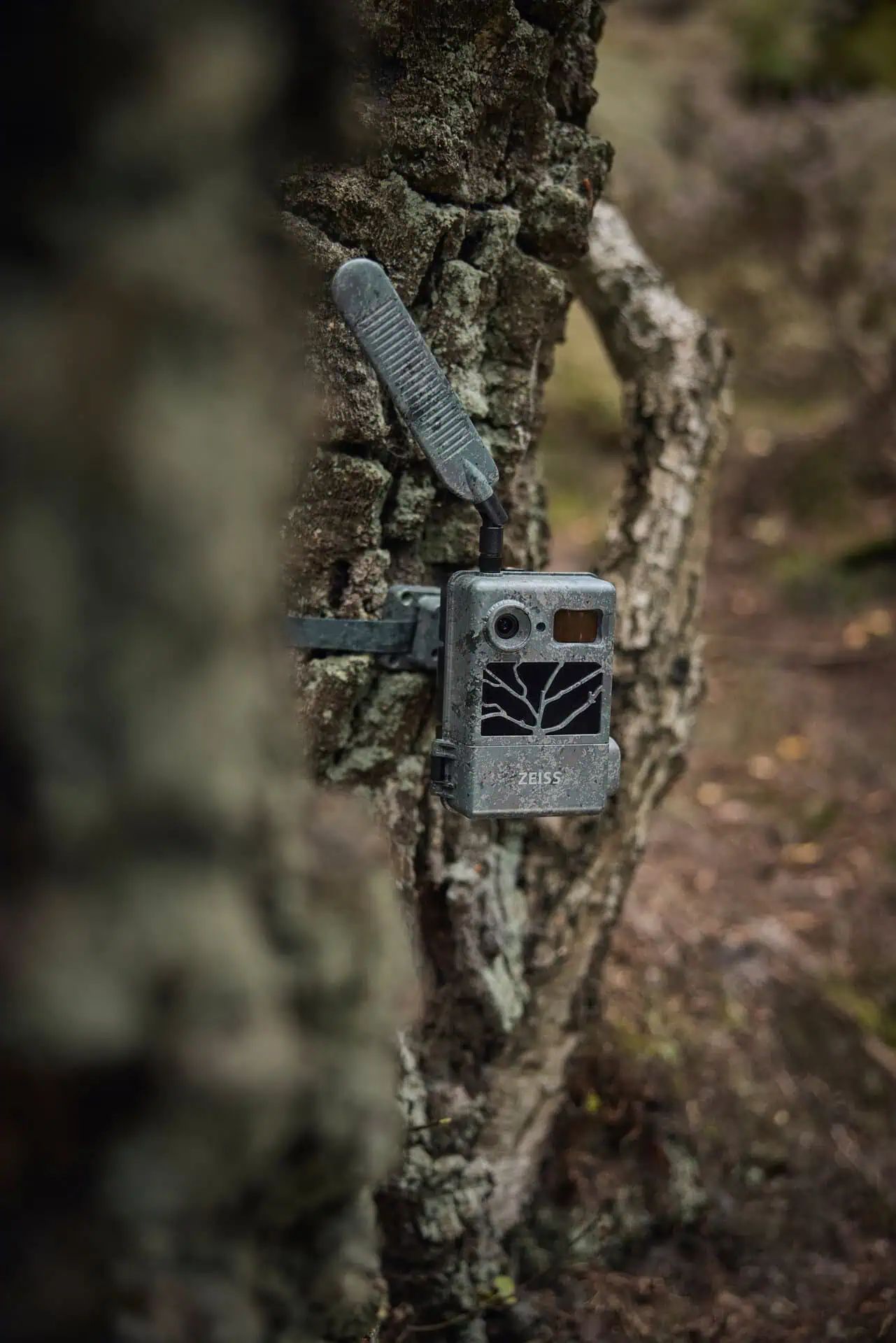 Wildkamera in Tarnmuster mit Antenne, montiert an Baumstamm im Wald