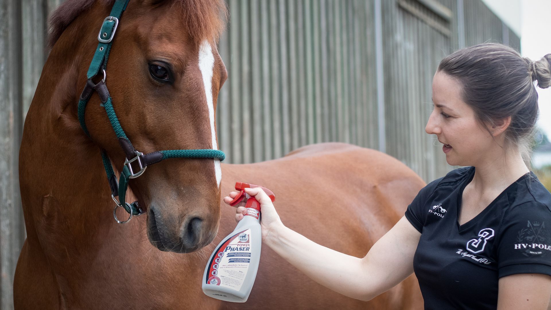 Leovet Power Phaser Spray Insectifuge pour Chevaux, 550 ml, en utilisation