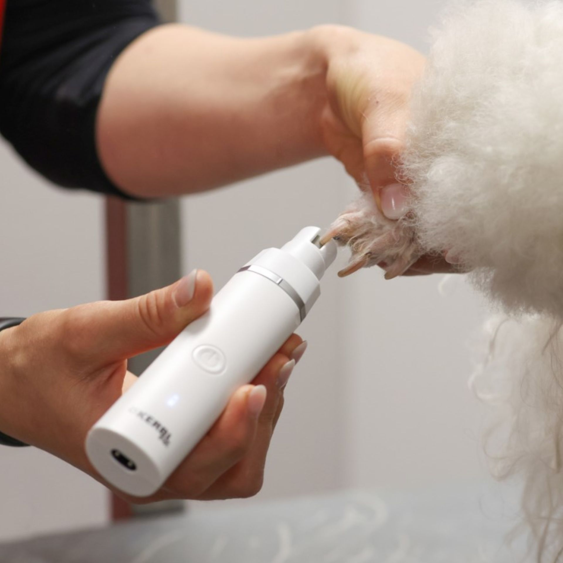 Kerbl Battery Multi-Trimmer 4in1, Cordless Nail Trimmer, White, in use, leg